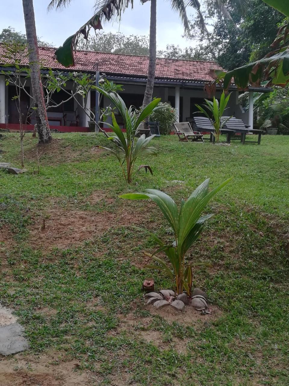 Star beach hotel Tangalle Exterior foto